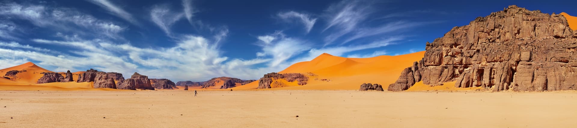 Duprez's Cypress of the Tassili