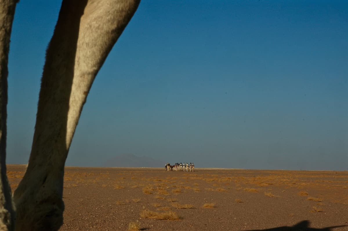 The Amadror Salt Marshes